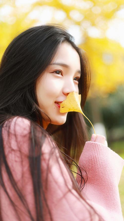 多平台支持美国一级片美国怡春院下载安装